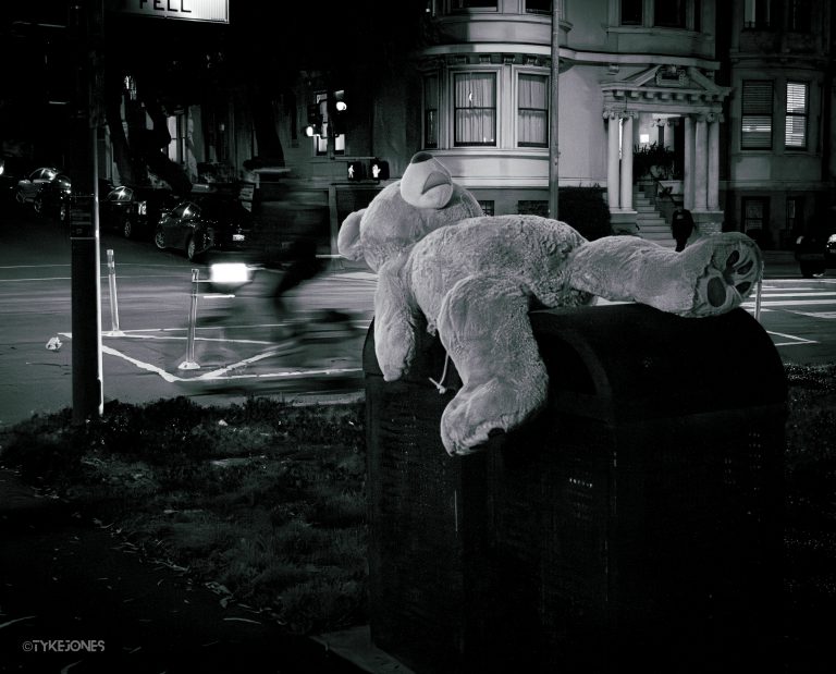 Teddy bear lying on a garbage can in the Golden Gate Park Panhandle at night. Black and white photo.