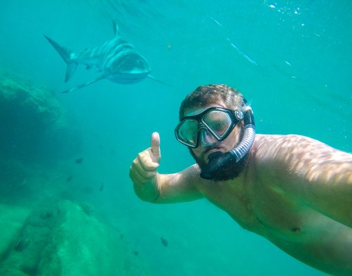 Selfie taken while snorkeling with a shark photoshopped in the background